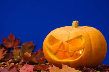 mavi üzerine oyulmuş cadılar bayramı balkabağı