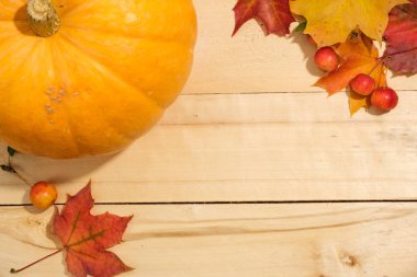 ahşap bir masa üzerinde kabak, akçaağaç yaprakları ve kırmızı elma