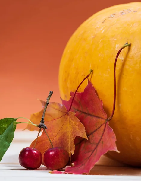Abóbora, folhas de bordo e pequenas maçãs vermelhas — Fotografia de Stock