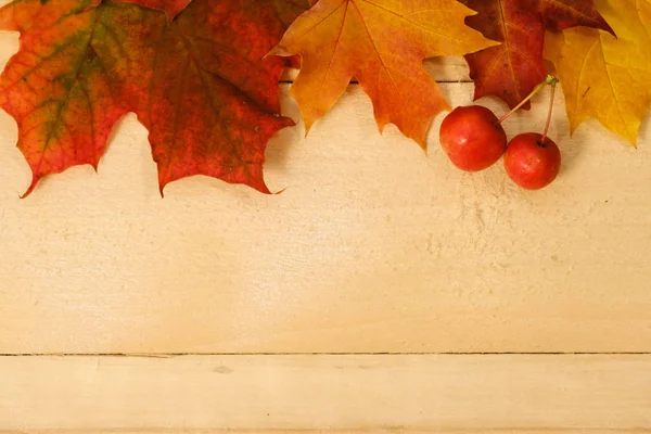 Esdoorn bladeren en rode appels op een houten tafel — Stockfoto