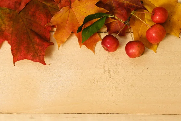 Folhas de bordo e maçãs vermelhas em uma mesa de madeira — Fotografia de Stock