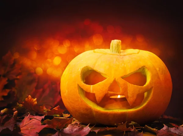 Carved halloween pumpkin on a orange — Stock Photo, Image