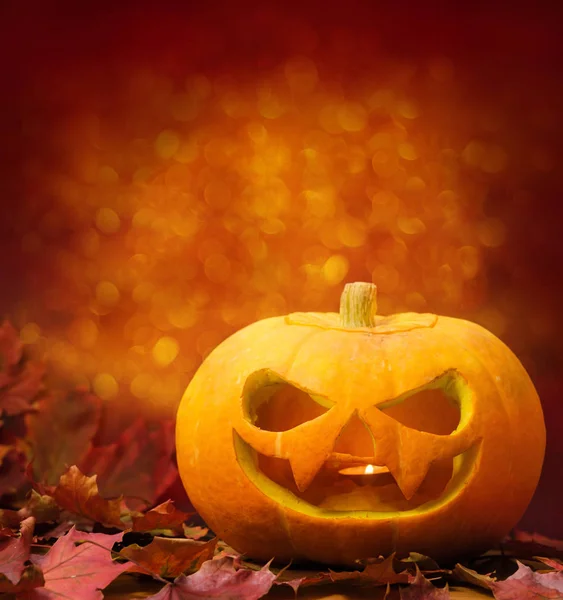 Carved halloween pumpkin on a orange — Stock Photo, Image