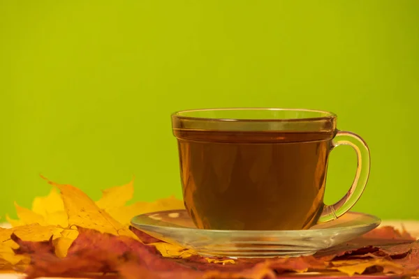 Cup with tea on a table with autumn leaves on a green background — Stock Photo, Image