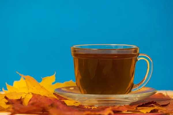 Cup with tea on a table with autumn leaves on a blue background — Stock Photo, Image