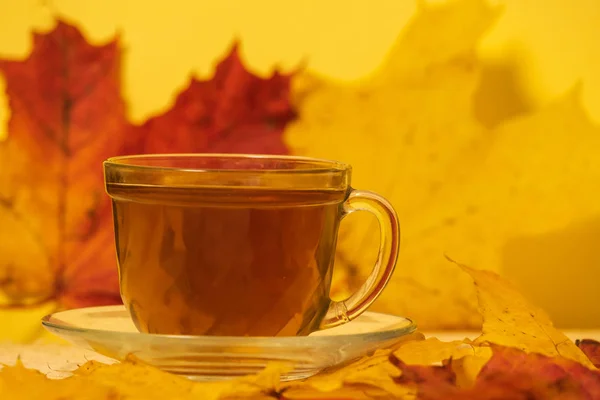 Cup with tea on a table with autumn leaves — Stock Photo, Image