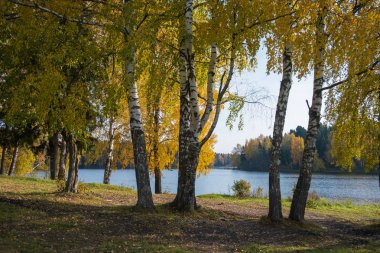 Bir sonbahar gününde ormandaki göl