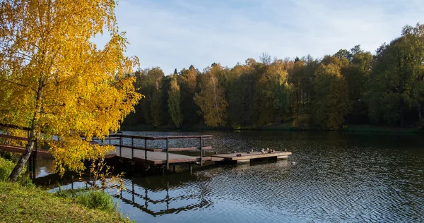 Brygga på sjön i parken en höstdag — Stockfoto