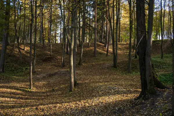 Осенний парк с холмами и опавшими листьями — стоковое фото
