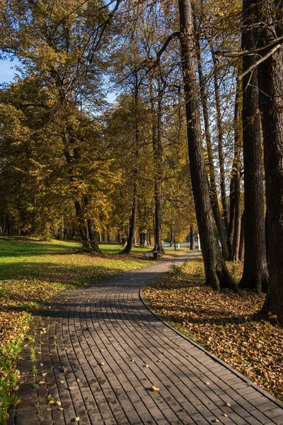Sonbahar parkında ağaçların arasında yol — Stok fotoğraf