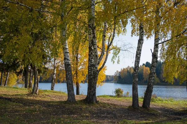 Lago en el bosque en un día de otoño —  Fotos de Stock