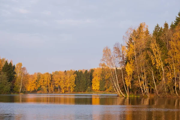 Höstskog vid sjön — Stockfoto