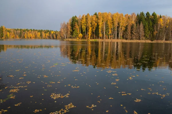 Herfst bos bij het meer voor de regen — Stockfoto