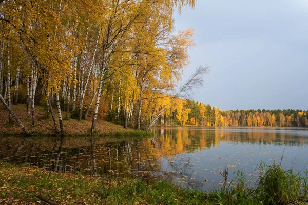 Bosque de otoño junto al lago antes de la lluvia — Foto de Stock