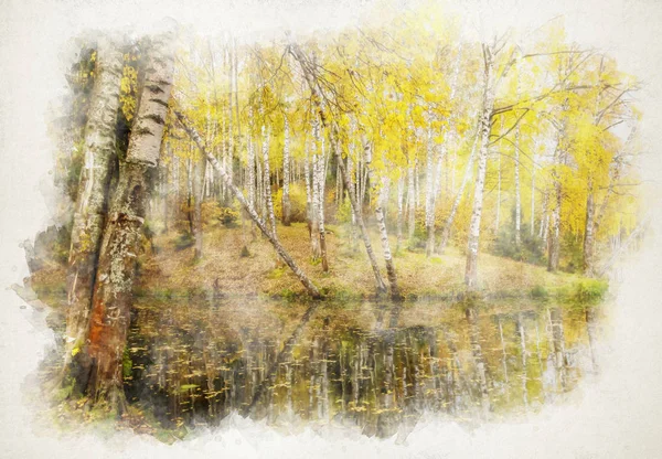 Açık bir sonbaharda göl kenarında sarı yapraklı huş ağacı koruluğu — Stok fotoğraf