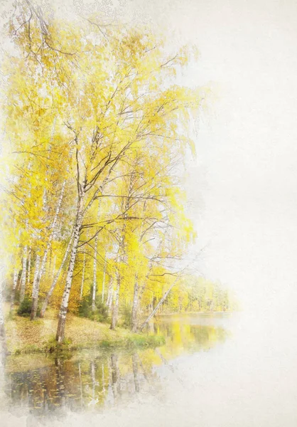 Bosque de abedules con follaje amarillo cerca del lago en un otoño claro — Foto de Stock