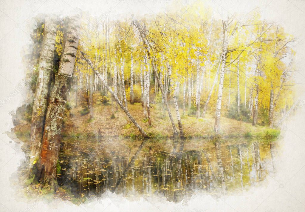 birch grove with yellow foliage near the lake on a clear autumn 