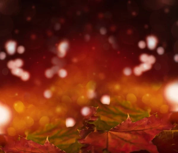 Осенний кленовый лист на оранжевом фоне с боке — стоковое фото