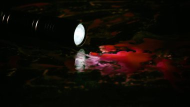 flashlight in a pool of blood on a black backgroun clipart