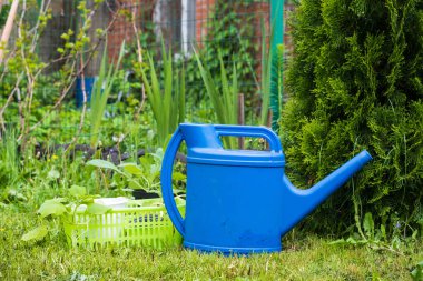 # Garddaki yeşil çimlerin üzerindeki mavi sulama kutusu #