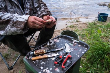 Balıkçı gölde taze balık yakalar.