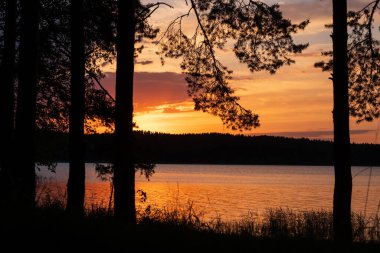 Güzel göl, ağaç silueti ve bulutların arasında gün batımı.