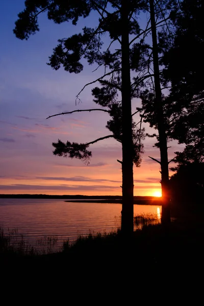 Красивий Схід Сонця Небі Хмарами Берегом Озера Деревами — стокове фото