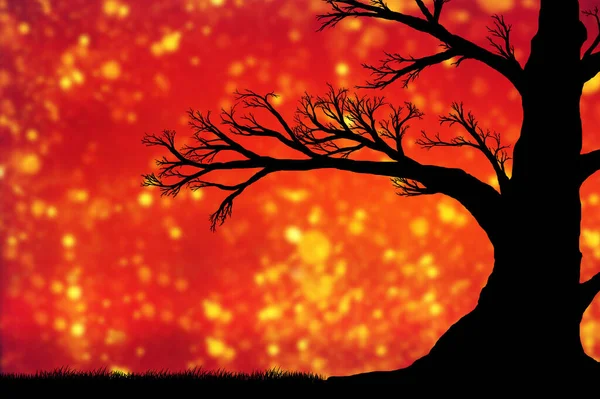 Bella Silhouette Grande Albero Nero Contro Cielo Arancione — Foto Stock