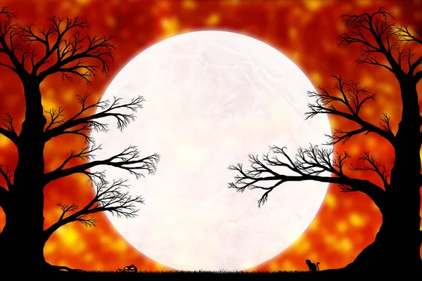 Büyük Yaşlı Ağaçların Silueti Akşam Gökyüzünde Büyük Bir Ayın Arka — Stok fotoğraf
