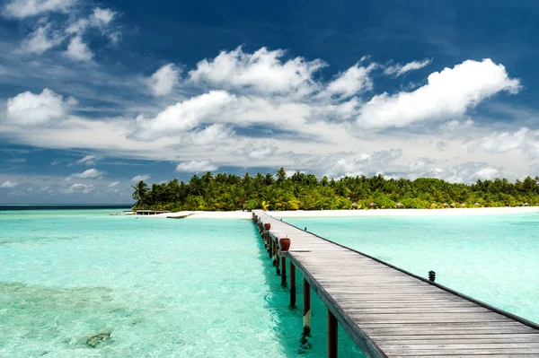 Embarcadero Una Playa Tropical Las Maldivas —  Fotos de Stock
