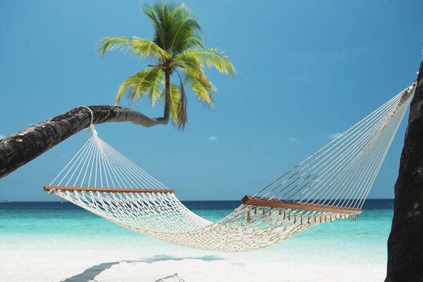 Beach Hammock between two palm trees on the maldives