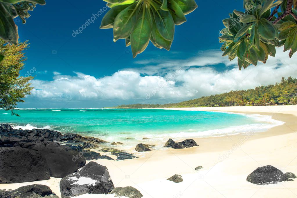 Tropical Beach scenery with palm trees, white sand and turquoise ocean