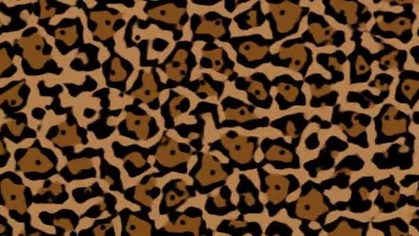 Flyover Camuflagem Desert Camo Pattern — Vídeo de Stock