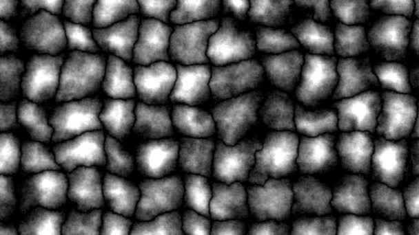 Panoramique sur des cellules groupées de terrain cellulaire abstrait — Video