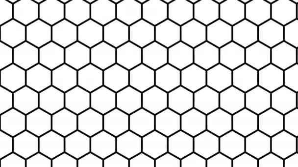 Máscara de fuga hexagonal Boldening líneas finas — Vídeo de stock