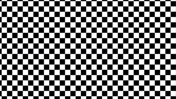 Pulsed Check Checkerboard Checks Μοτίβο παλμών — Αρχείο Βίντεο