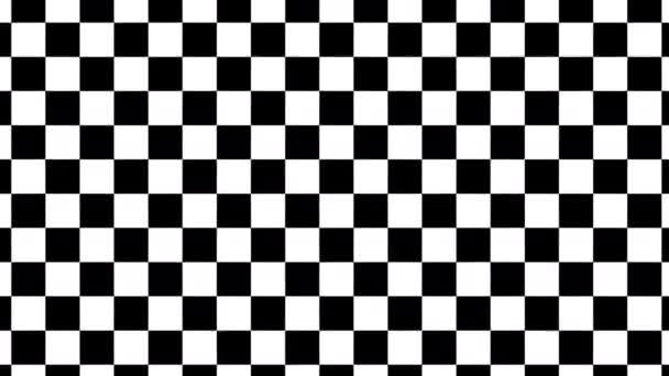 Zoom en Pan op een eenvoudig Checkboard Checkerboard Checked Mask — Stockvideo