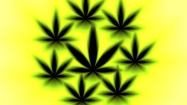 Canabis Marihuana Otu Dönüşümlü Yapraklar Dizisi