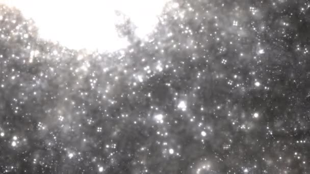 Galaksi Çekirdeği yakınındaki Kalın Yıldızlar Kara Delik Çekirdeği — Stok video