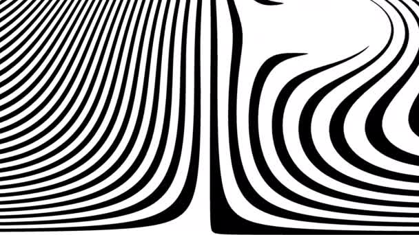 Maschera di colonne di sottili strisce di zebra con sotto lente — Video Stock
