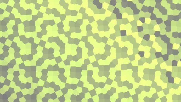 Camo Camuflagem Células Lento Fluido Simulação Baixa Poly — Vídeo de Stock