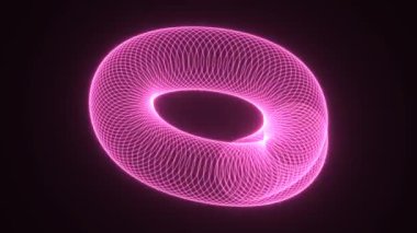 Spiral Slinky Pembe Tünel Halkaları