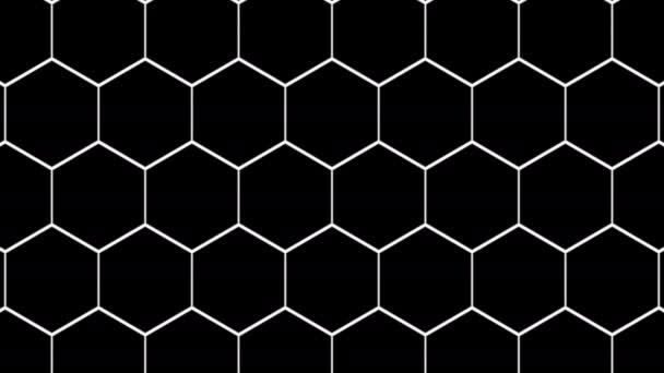 Πλέγμα επίπεδης 2d μάσκας Hexagons — Αρχείο Βίντεο