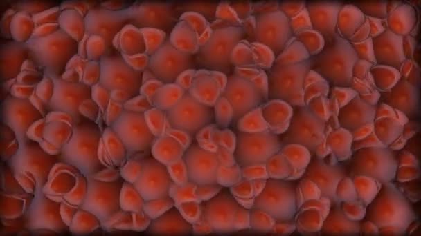 Абстрактные красные кровяные клетки раскатывают бобы — стоковое видео