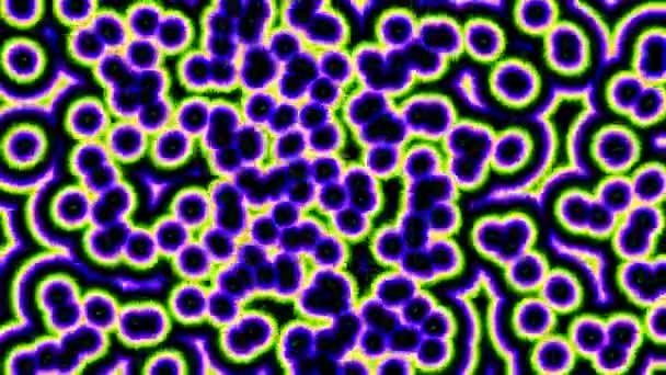 Колебательные клетки Клеточная масса Органические биотические бактерии Бактерии — стоковое видео