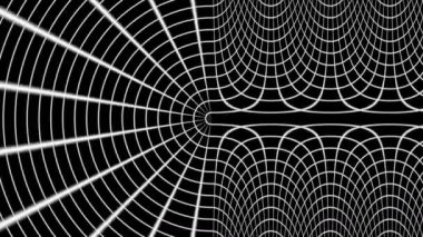 Karmaşık Yüzey Mimarisinin Çok Boyutlu İfadesi Satırları Döndürür