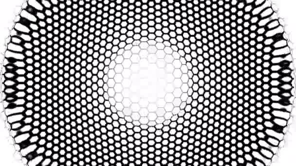 Hexagons Hive Net Network Grid Pattern Transition πλαίσιο πλήρωσης σε παλμούς — Αρχείο Βίντεο