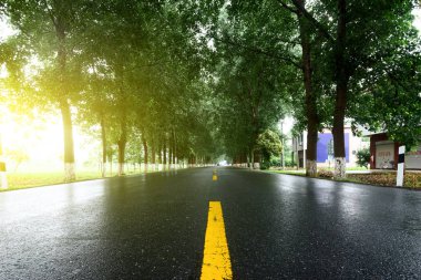Asfalt yol, gün ışığı altında ağaç çimleri