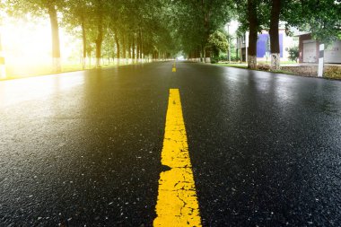 Asfalt yol, gün ışığı altında ağaç çimleri
