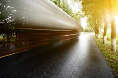 Asfalt yol, gün ışığı altında ağaç çimleri